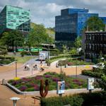 Faculty council of the University of Groningen