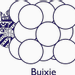 Buixie's logo