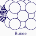 Buixie's logo