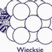 Wiecksie's logo