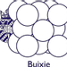 Buixie's logo